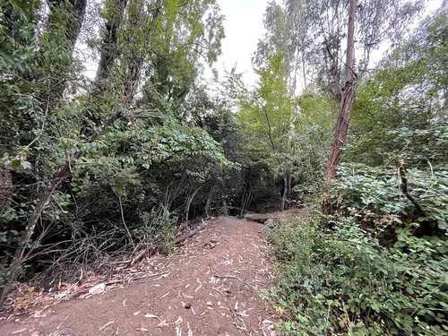 Invierte En Tierras: 3 Parcelas Bajo Valor De Mercado 2,22 H