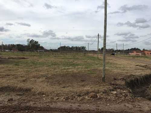 Imagen 6 de 8 de Lote En Venta
