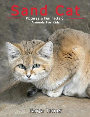 Libro Sand Cat : Pictures & Fun Facts On Animals For Kids...