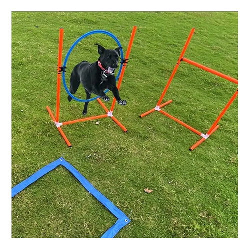Equipos De Agilidad Perros Cursos De Obstáculos Kit De...