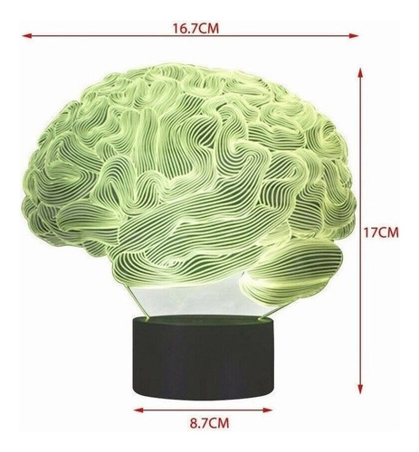 Candeeiro De Mesa Cerebelar 3d Com Cérebro Humano Modelo 7