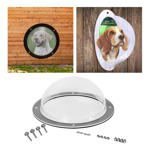 Perro Valla Ventana Domo Insertar Claro Gato Mascota Patio