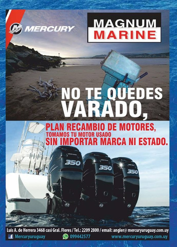 Imagen 8 de 14 de Motor Mercury Fuera Borda 15 Hp 4 Tiempos Tanque Garantia