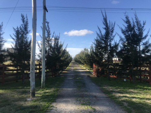 Imagen 2 de 29 de Campo En Venta En Magdalena Ruta 11 Dacal Bienes Raices
