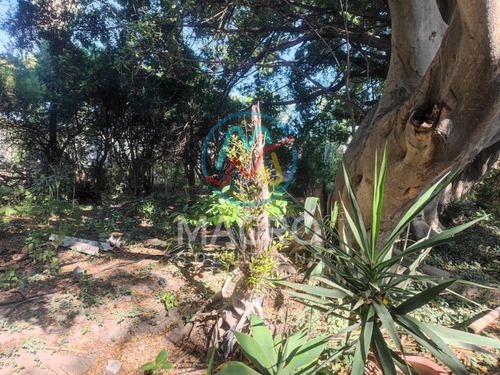 Terreno En Venta En Col. Emiliano Zapata Con Conexion A Servicios Cerca Del Centro De Cuautla Excelente Oportunidad De Inversión