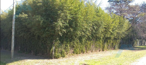 Venta De Terrenos En La Lonja Pilar 760mtros