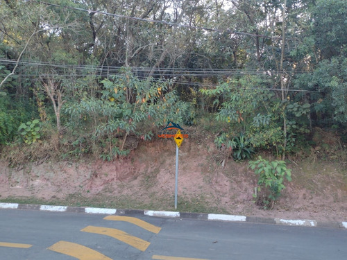 Imagem 4 de 4 de Terreno - Te00063 - 69839182
