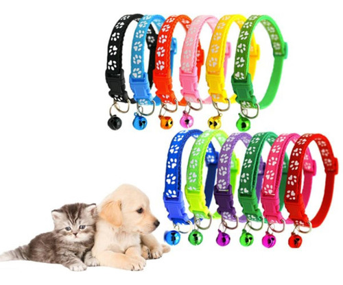 Collares Mascota Cachorros Identificadores Camadas Set 12pcs