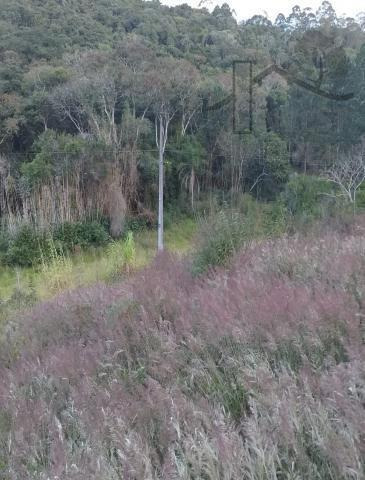Imagem 5 de 10 de Cod 5969 - Área 4 Alqueires Em Ibiúna - 5969