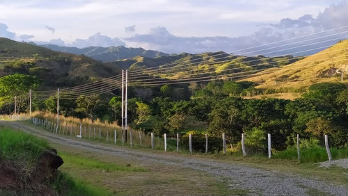 Vendo Finca En Tinaquillo Cojedes Mg