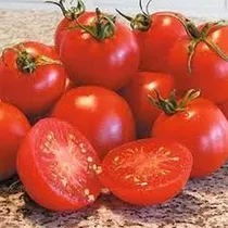 Comprar Semillas De Tomate Glacier Paquete De 20 Semillas