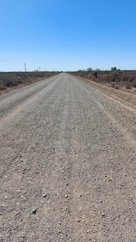 Campo En Venta En Las Catitas, Santa Rosa, Mendoza