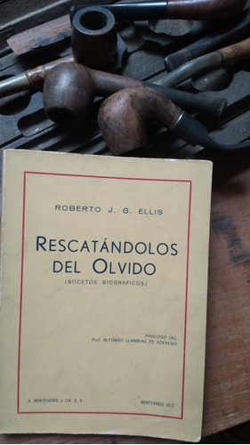 Rescatándolos Del Olvido / Roberto Ellis