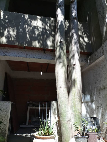 Imagen 14 de 15 de Casa En Venta Con Local Comercial La Vega