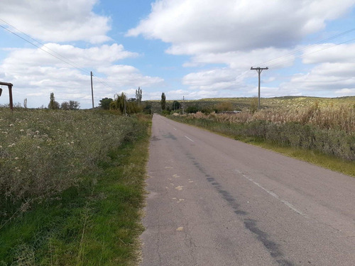 Imagen 13 de 24 de Predio Urbano/rural S. Rafael Las Malvinas Mendoza