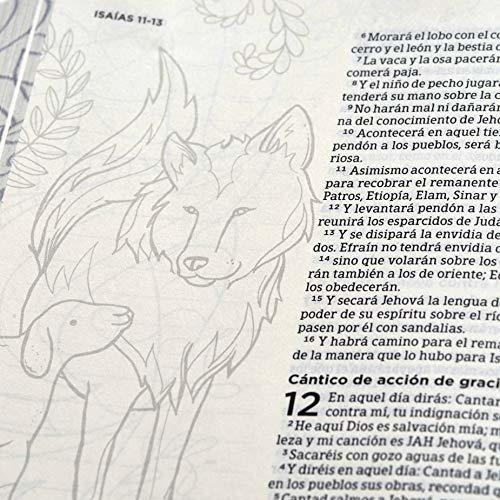 Imagen 4 de 5 de Biblia Reina Valera 1960 De Apuntes Ilustrada Tela
