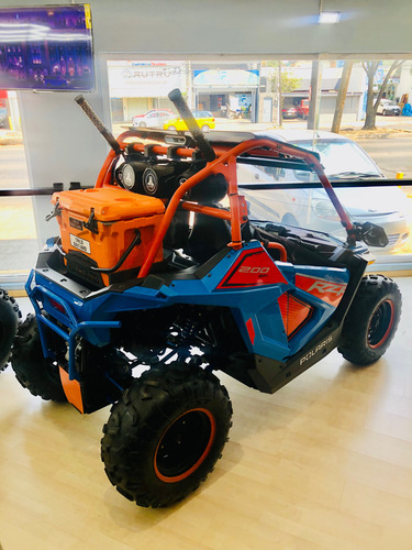Rzr Efi Tld 200. 2023