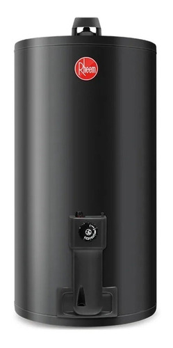 Imagen 4 de 8 de Termotanque Rheem A Gas 80 Lts De Colgar Gtia Beiro Hogar