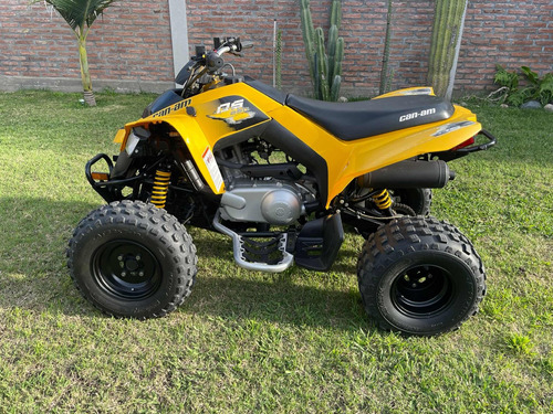 Can-am Ds250