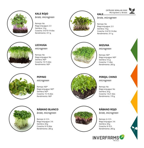 Semilla Libre Tratamiento Mizuna Brote Microgreen 20.6g