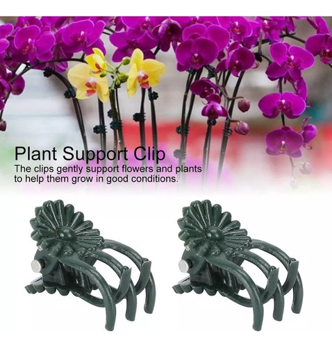 Grampos De Plantas Duráveis Clipes De Orquídea Para Jardim