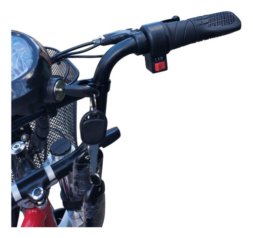 Triciclo Elétrico Modelo Advanced 1000 Watts 48 Volts 30ah