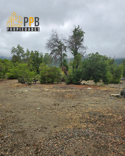 Vendo Propiedad De 5.000m² Ubicada En Sector Juan Amigo, Li