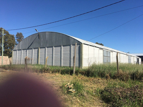 Imagen 19 de 21 de Galpón De 800 M2 Agustín Álvarez 4100 (sector Scania U$s 180.000)