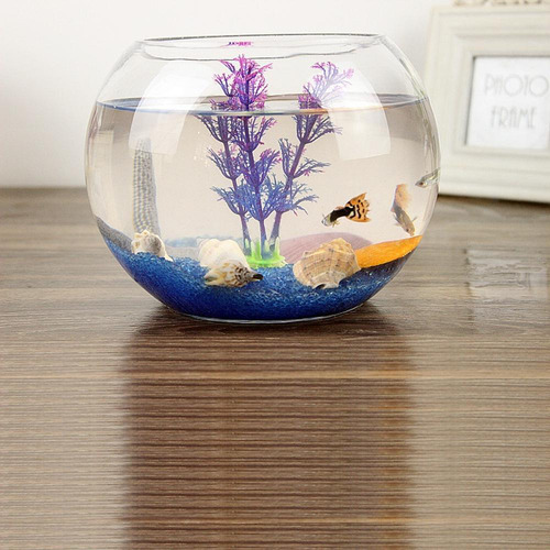 Vaso Aquario De Vidro Vaso Redondo 4,5 L