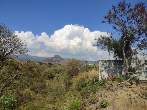 Venta De Terrenos En Tlayacapan, Morelos Todo O En Lotes