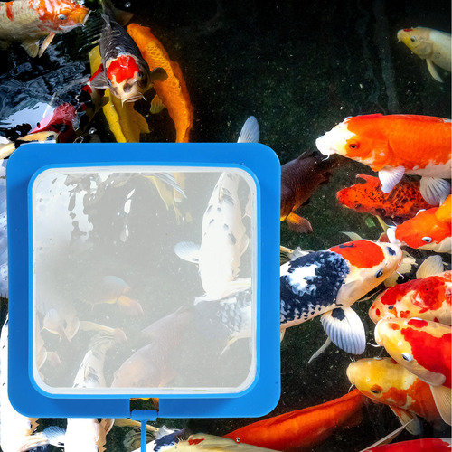 Comedero Colgante Para Peces De Acuario, 2 Unidades, Herrami