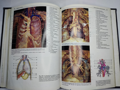 Libro Atlas Fotografico De Anatomia Del Cuerpo Humano 198c6 (Usado)