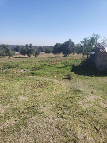 Terreno Comercial & Habitacional