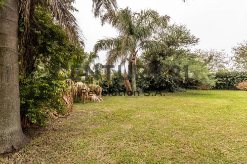 Imagen 4 de 14 de Terreno Ideal - En Venta - San Lorenzo
