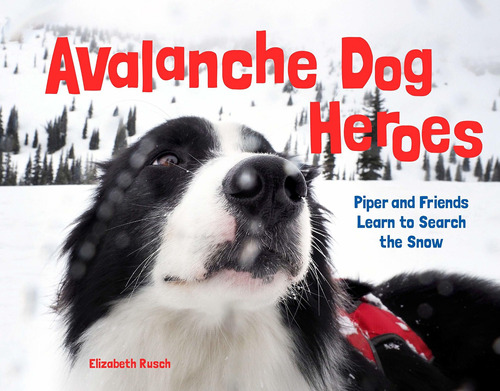 Libro Avalanche Dog Heroes: Piper And Friends Learn To Sea