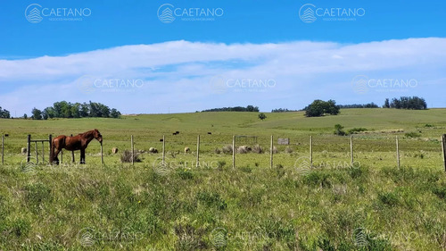 Venta Chacra Jose Ignacio Con Costa Arroyo Anastasio