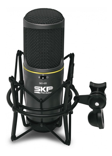 Skp Sks-420 Microfono De Estudio (condenser Multi Patron)