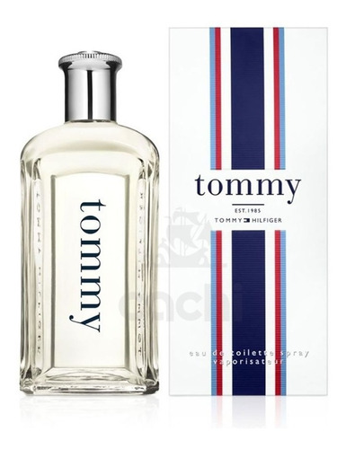 Imagen 1 de 7 de Perfume Tommy Hilfiger 200ml Original