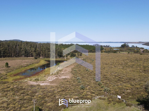 Imagen 3 de 10 de Chacra En Venta Con Vistas A La Laguna Del Sauce Y Tajamar Propio.