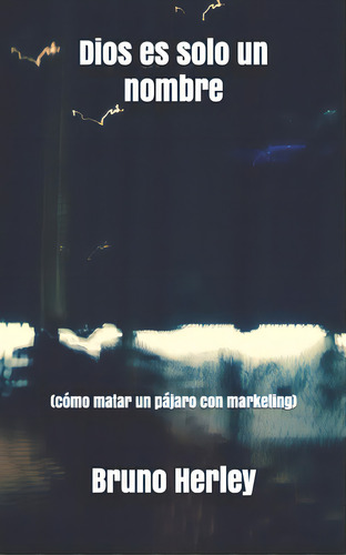 Dios Es Sãâ³lo Un Nombre: (cãâ³mo Matar Un Pãâ¡jaro Con Marketing), De Herley, Bruno. Editorial Createspace, Tapa Blanda En Español