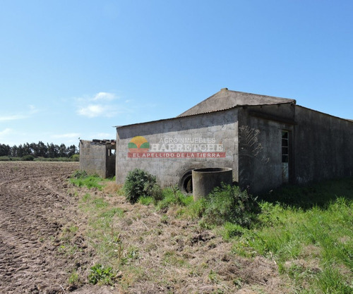 Imagen 13 de 28 de Chacra En Venta Progreso, 4.5 Has Muy Bien Ubicadas!