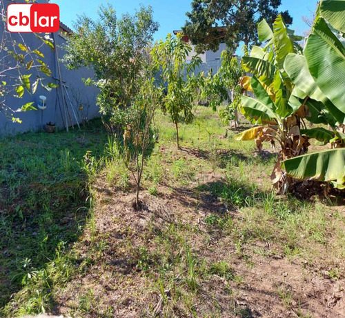 Imagem 1 de 4 de Terreno - Te00152 - 69900743