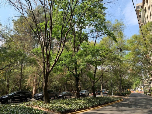Imagen 2 de 30 de Campos Eliseos - Moderno Con Excelente Ubicación