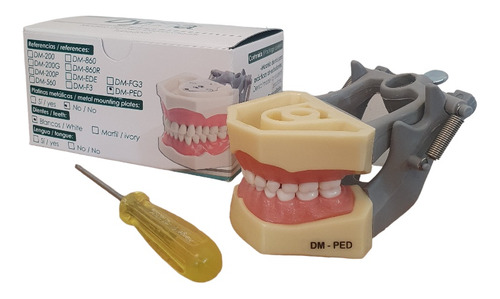 Tipodonto Columbia Pediatrico Dm-ped Modelo De 24 Dientes 