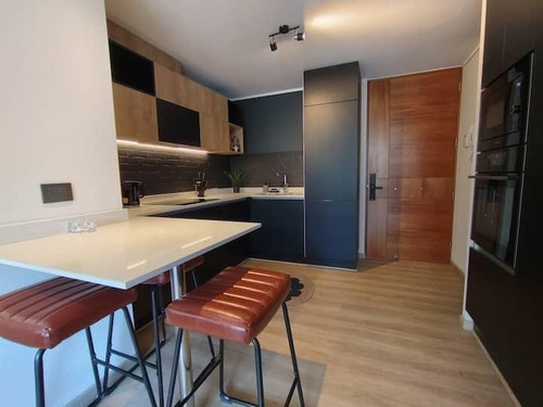 Arriendo Departamento Amoblado Exclusivo Sector Providencia