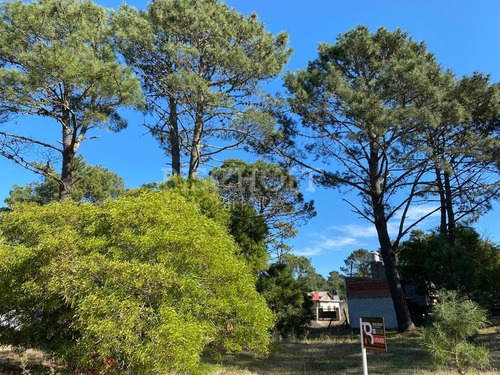 Imagen 11 de 16 de Hermoso Terreno, Zona Golf. Villa Gesell