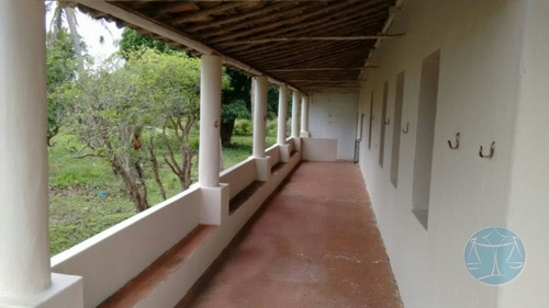 Imagem 2 de 15 de Fazenda Com Rio Maxaranguape Dentro - V-8846