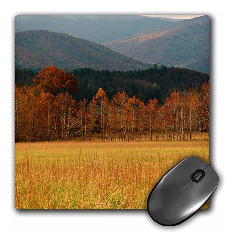 Usa, Tennessee. Cades Cove In Smoky Mountain National P...