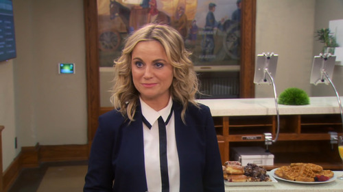 Parks And Recreation Serie Completa Calidad Full Hd