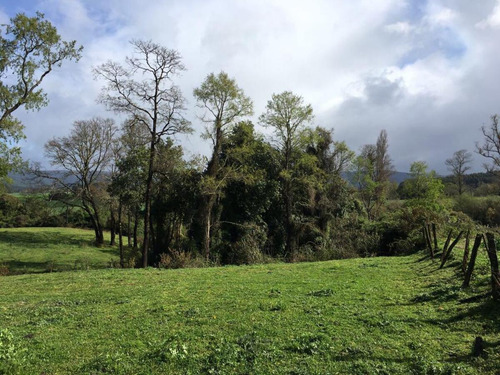 Hermosa Parcela En Rapaco Sector Los Canales La Union